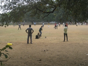 Playing cricket