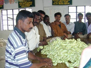 The traditional silk industry continues in Kanchipuram.