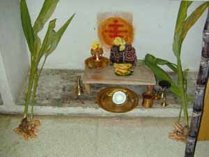 A family shrine to celebrate Pongal harvest festival, with turmeric, coconut, bananas and sugar cane.